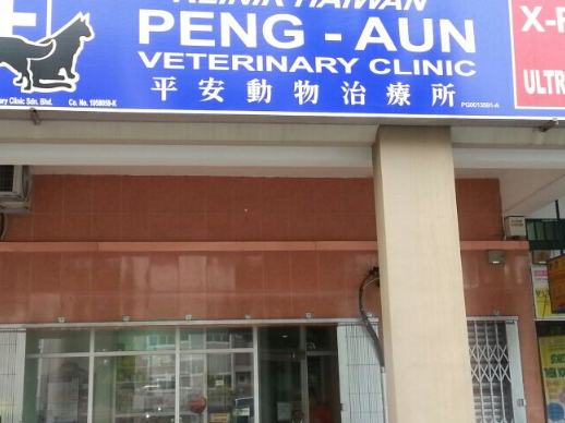 yang terbaik untuk penjagaan haiwan peliharaan di sarikei