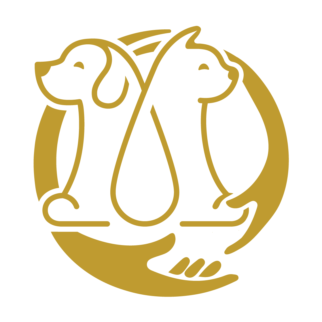 yuta pets memories e5bea1e5a194e5aea0e789a9e59684e7bb88