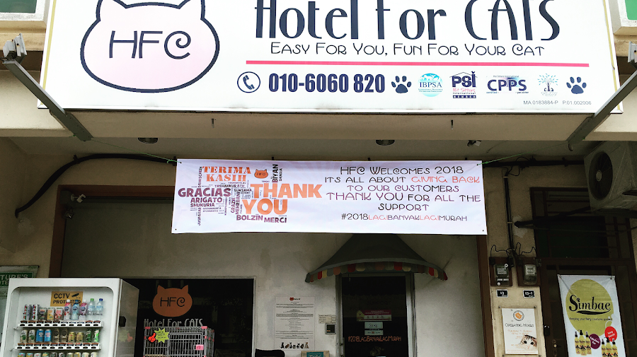 zoola ayer keroh hotel for cats